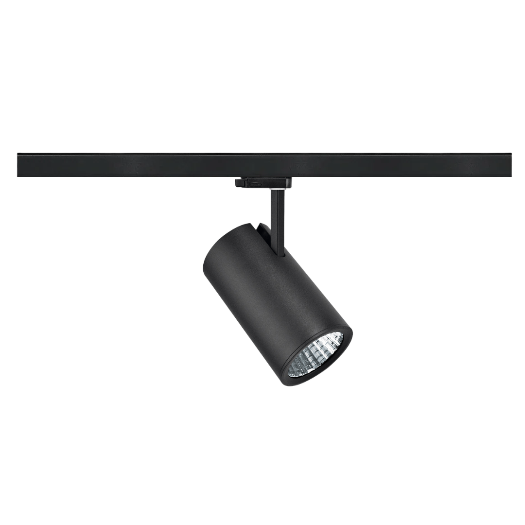 Argo L